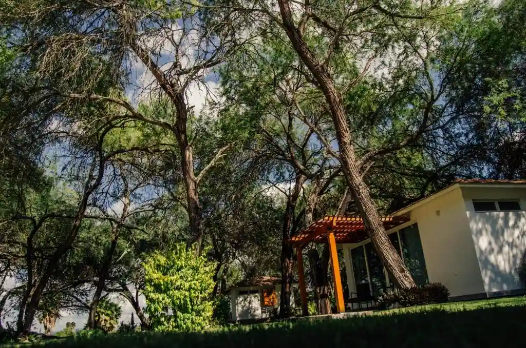 Hotel Los Lirios surrounded by trees and gardens in El Jabalí