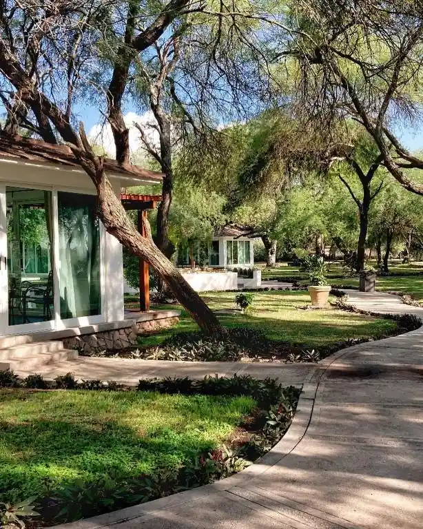 Tree-lined paths at Hotel Los Lirios